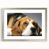 Beagle dog-themed wall art framed in silver, showcasing playful beagle illustrations with a white mat, perfect for pet lovers' home decor.