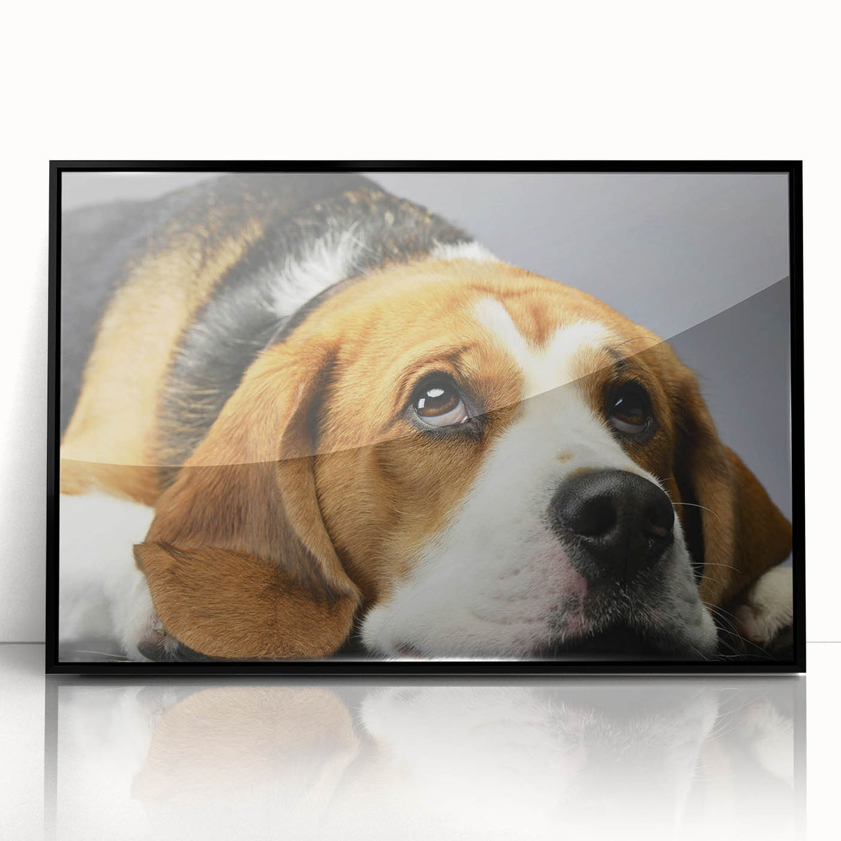 Framed wall art featuring a beagle design, showcasing vibrant colors and intricate details. The piece is displayed with a sleek black frame, enhancing its appeal as a pet-themed decor option for dog lovers.
