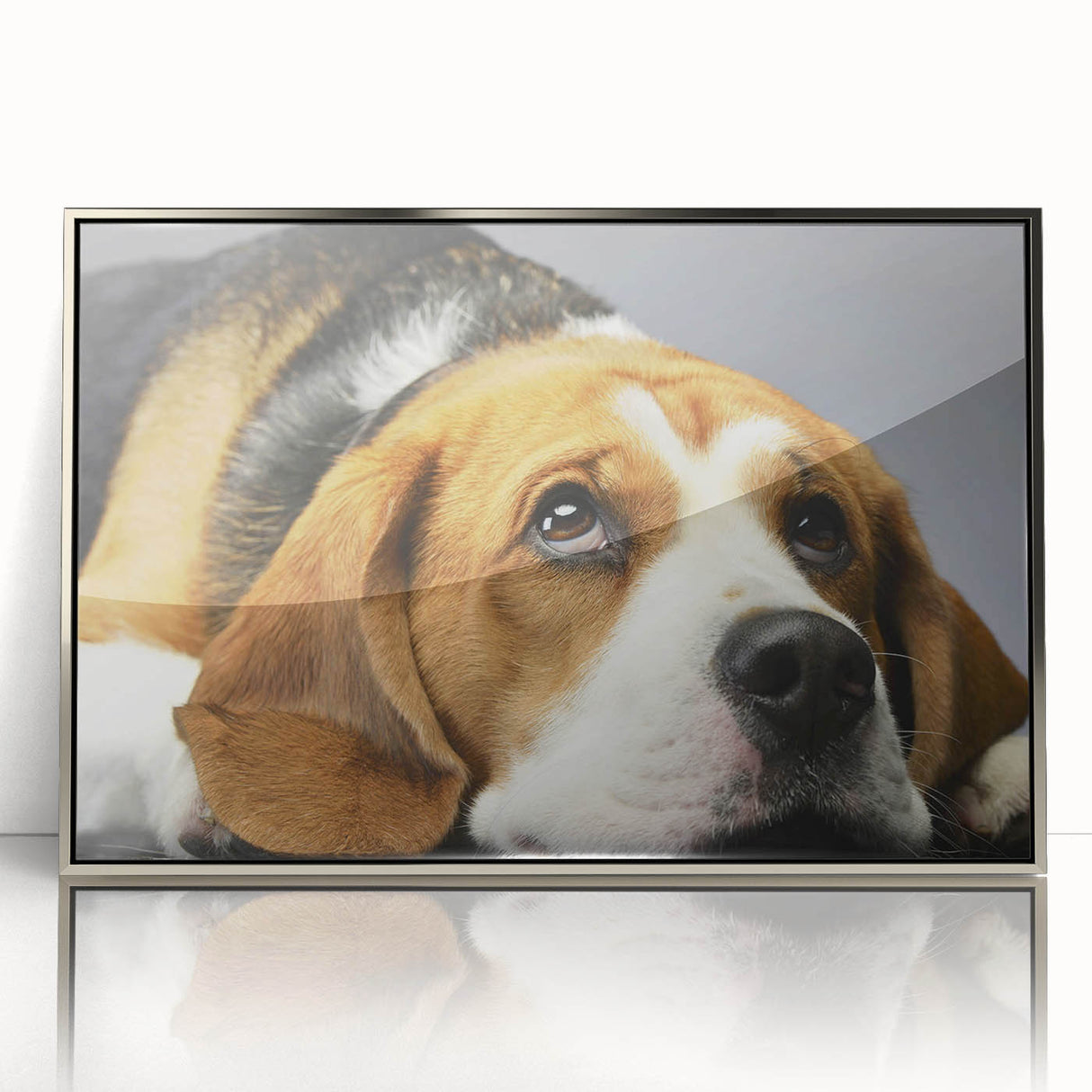 Framed acrylic wall art showcasing a charming beagle design, highlighted in silver tones. Ideal for dog lovers, this vibrant piece adds character to any room.