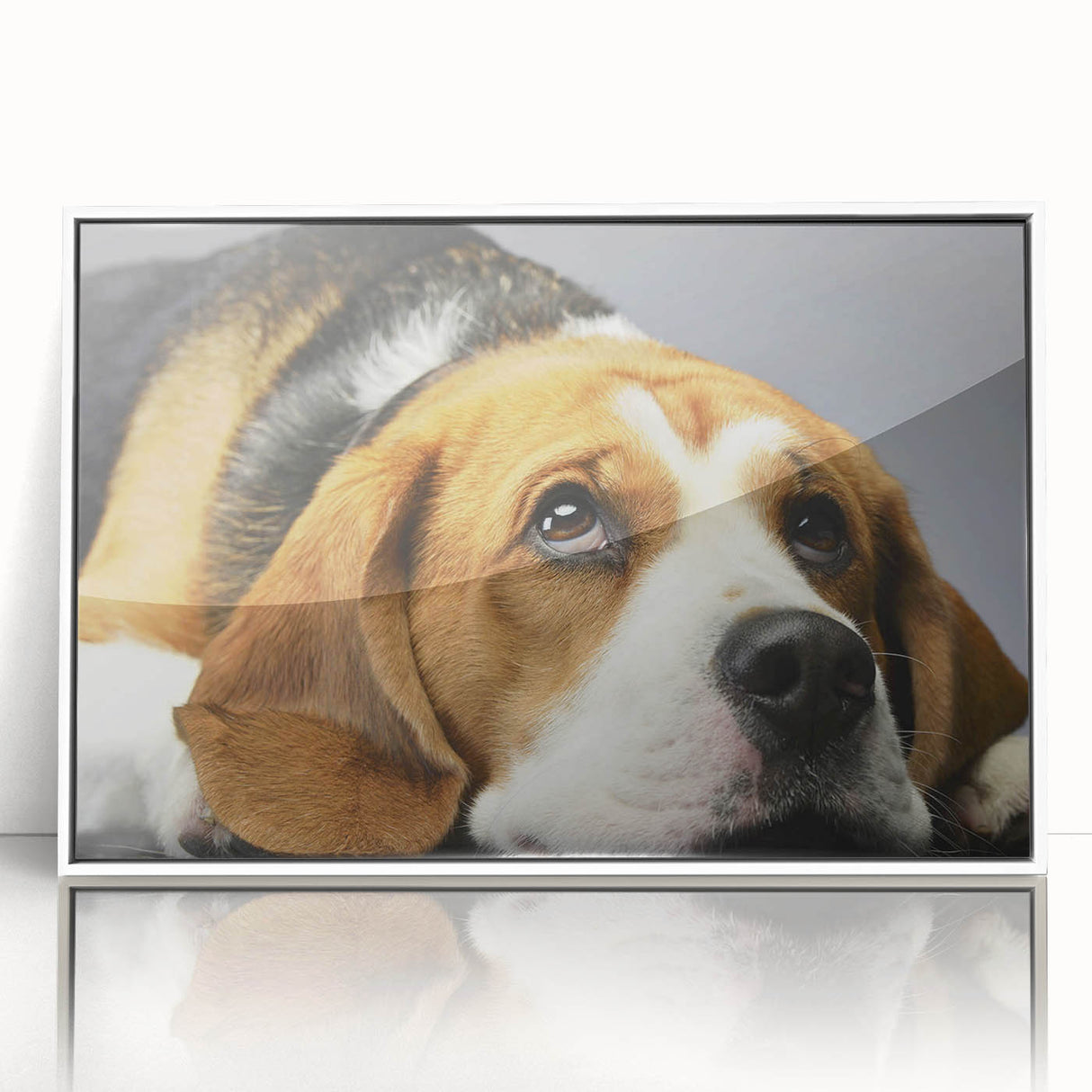 Framed acrylic wall art showcasing a Beagle design in a white frame, ideal for dog lovers and home decor enthusiasts, highlighting vibrant colors and detail.