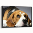 Framed canvas wall art showcasing a beagle design, featuring a black frame and vibrant colors, ideal for dog lovers and home decor enthusiasts.