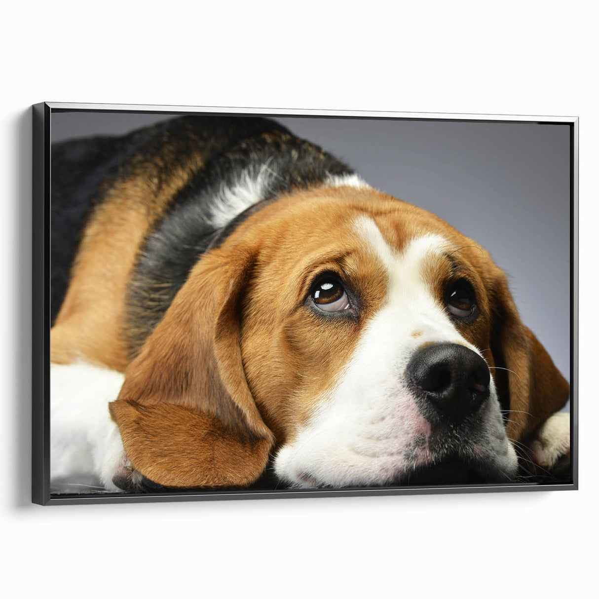 Framed canvas wall art showcasing a beagle design, featuring a black frame and vibrant colors, ideal for dog lovers and home decor enthusiasts.