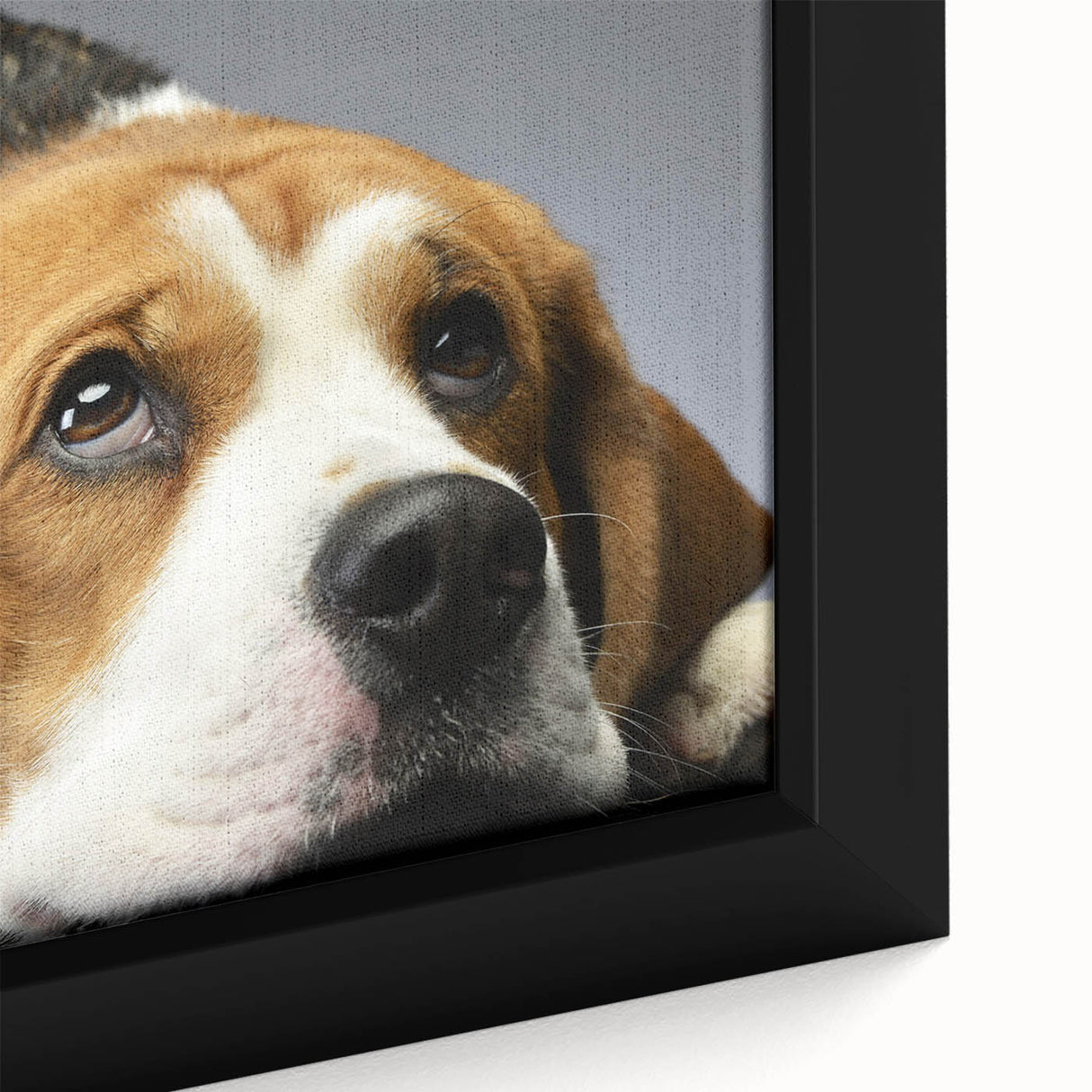 Close-up of a framed canvas wall art depicting a playful beagle design, showcasing vibrant colors and intricate details, perfect for dog lovers' home decor.