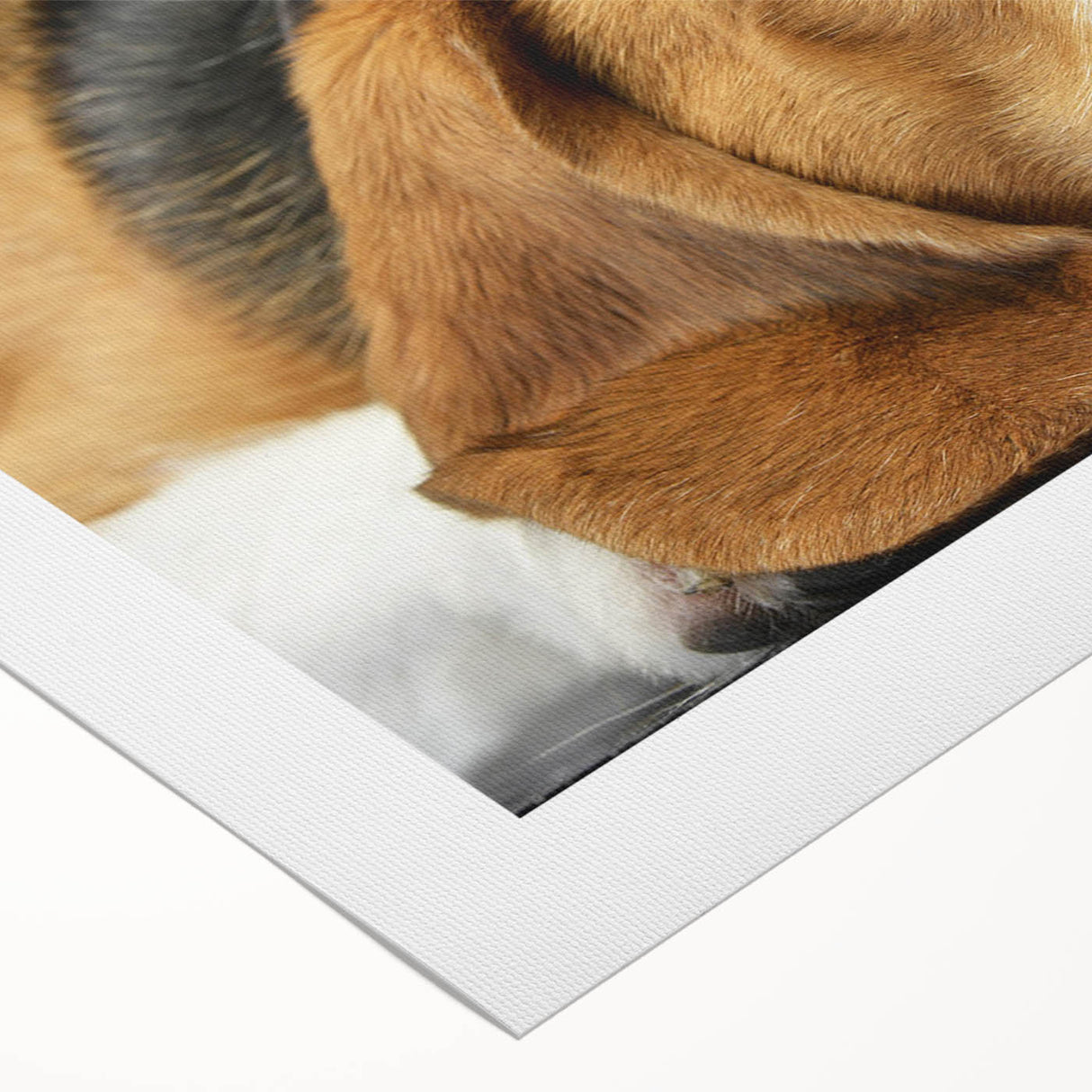 Rolled canvas artwork depicting a charming beagle design, featuring rich colors and playful details, perfect for dog lovers and home decor enthusiasts.