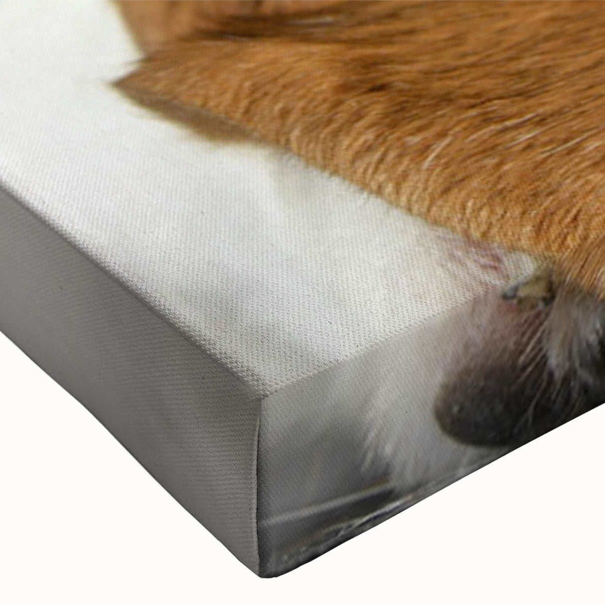 Close-up of a stretched canvas wall art featuring a Beagle dog design, showcasing vibrant colors and intricate details, perfect for pet lovers' home decor.