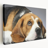 Stretched canvas wall art showcasing a vibrant beagle design, featuring rich colors and intricate details, ideal for dog lovers' home decor.