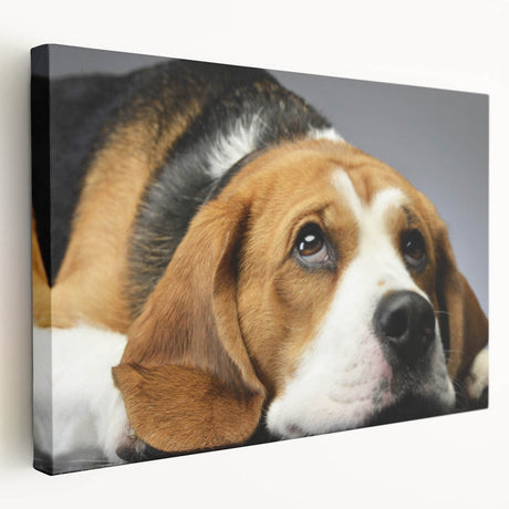 Stretched canvas wall art showcasing a vibrant beagle design, featuring rich colors and intricate details, ideal for dog lovers' home decor.