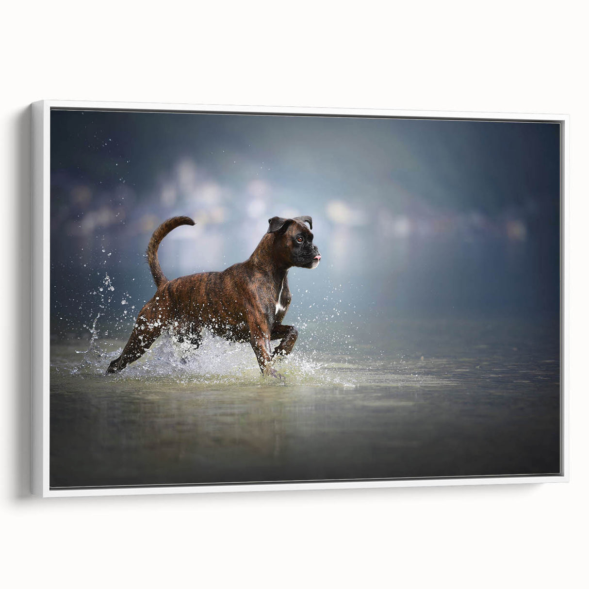 Framed canvas wall art featuring a stylish, side view of a boxer dog design on a white background, perfect for pet lovers and home decor enthusiasts.