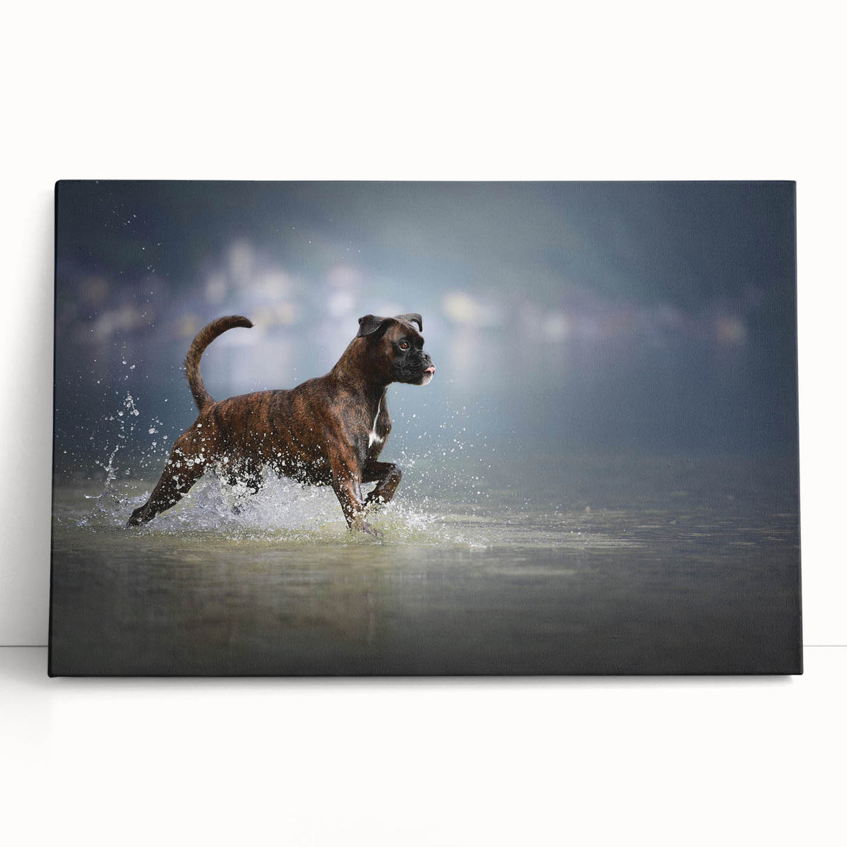 Colorful stretched canvas wall art featuring a playful boxer dog design, showcasing vibrant details and textures, perfect for dog lovers' home decor.
