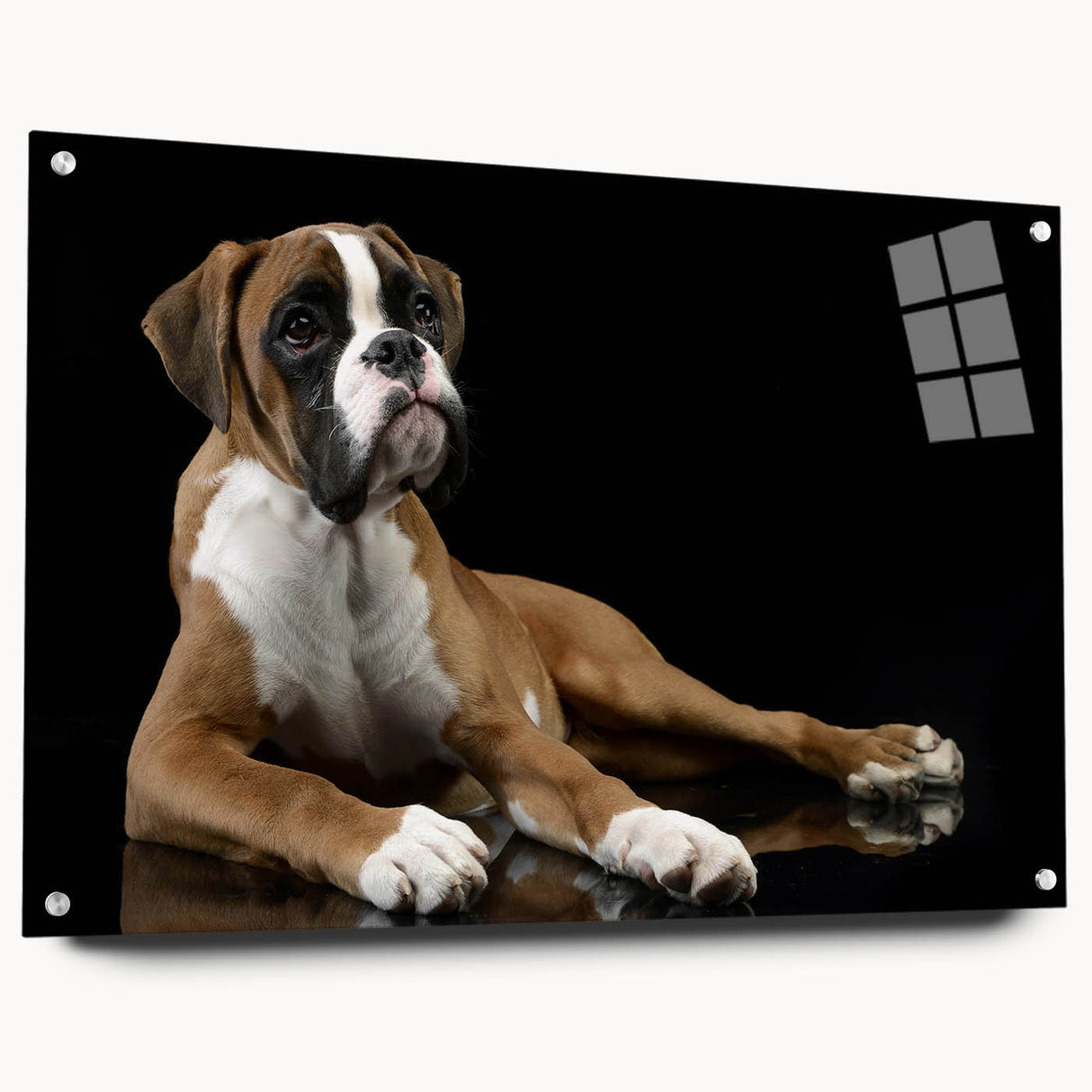 Acrylic wall art piece showcasing a vibrant boxer dog design, featuring a side view with decorative pins, perfect for pet lovers and modern home decor.