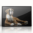 Framed wall art featuring a striking black and white illustration of a boxer dog, showcasing intricate details and bold lines, perfect for modern pet lovers’ decor.
