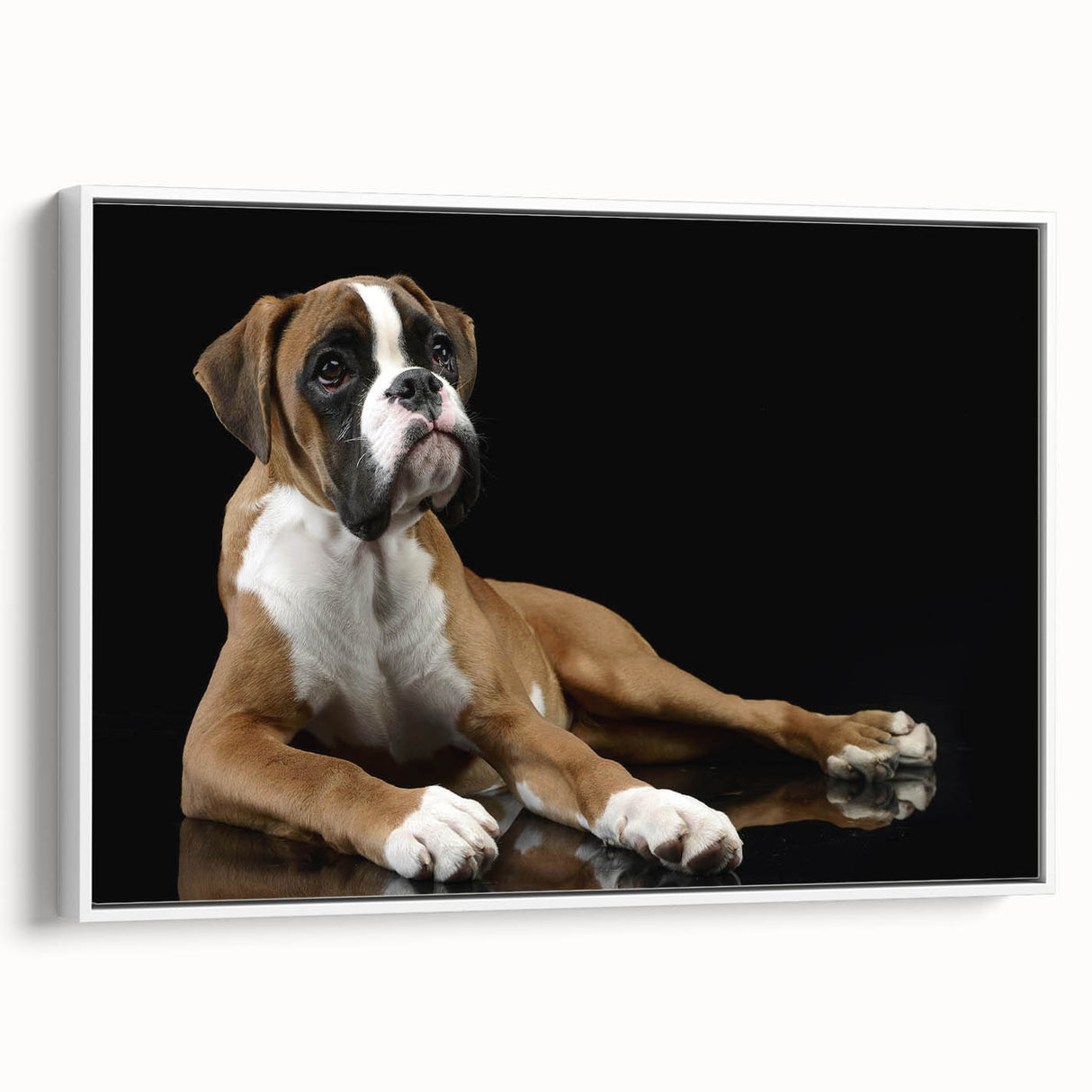 Framed wall art showcasing a stylish boxer dog design on canvas, featuring a clean white background and elegant border, perfect for pet lovers’ home decor.