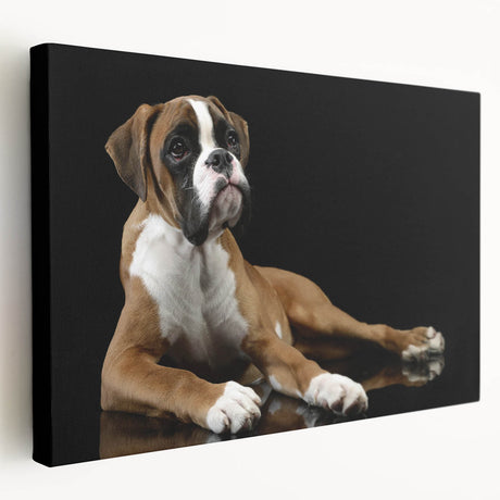 Boxer dog wall art design on stretched canvas in vibrant colors, showcasing a playful side view. Perfect for dog lovers and home decor enthusiasts.