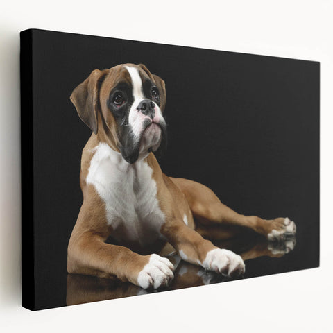 Boxer dog wall art design on stretched canvas in vibrant colors, showcasing a playful side view. Perfect for dog lovers and home decor enthusiasts.