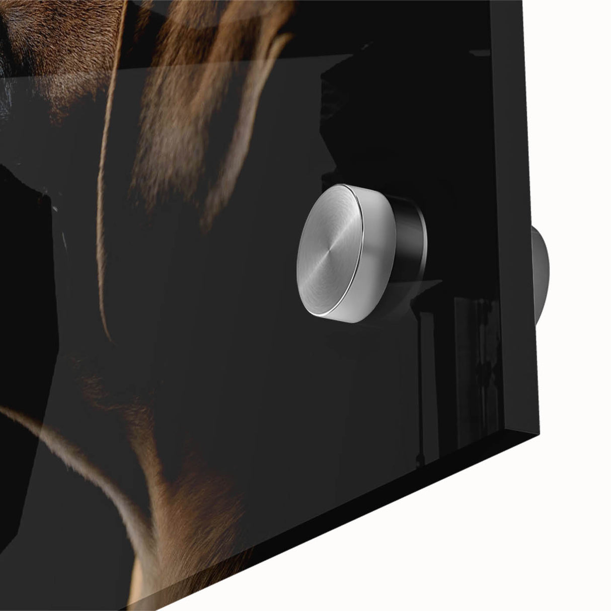 Close-up of a vibrant acrylic glass wall art featuring a detailed design of a Boxer dog, showcasing rich colors and textures, perfect for dog lovers.