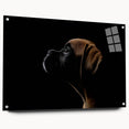Acrylic glass wall art collection showcasing a sleek side view of a boxer dog design, mounted with pins for an elegant display. Perfect for dog lovers and modern decor.