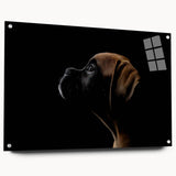 Acrylic glass wall art collection showcasing a sleek side view of a boxer dog design, mounted with pins for an elegant display. Perfect for dog lovers and modern decor.