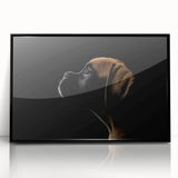 Framed wall art featuring a stylish black acrylic design showcasing a boxer dog in a modern silhouette, perfect for pet lovers and home decor enthusiasts.