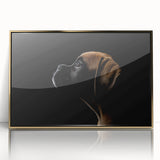 Framed wall art of a boxer dog design showcasing vibrant colors and intricate details, elegantly presented with a gold frame for a stylish home decor accent.