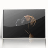Framed wall art showcasing a stylish boxer dog design, featuring vibrant colors and modern aesthetics, perfect for enhancing home decor in living spaces or pet-themed rooms.