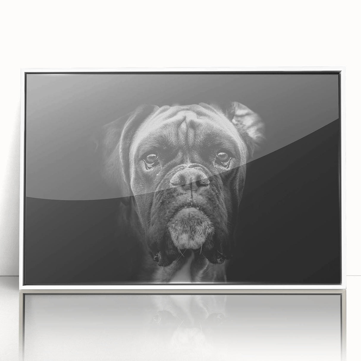 Framed wall art featuring a sleek design of a boxer dog in a contemporary style, showcasing vibrant colors on a white background. Perfect for dog lovers' home decor.