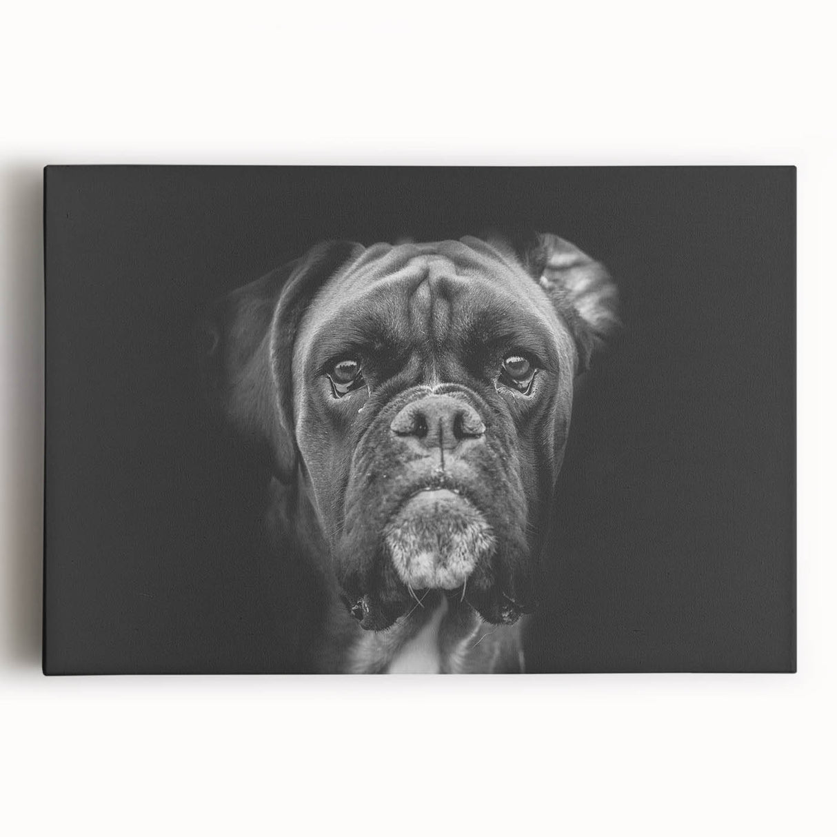 Boxer dog wall art design printed on stretched canvas, showcasing vibrant colors and detailed textures, perfect for pet lovers' home decor.