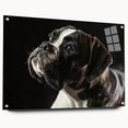 Boxer dog wall art collection displayed in acrylic glass, showcasing a side view with decorative pins, featuring vibrant colors and a modern design for pet lovers.