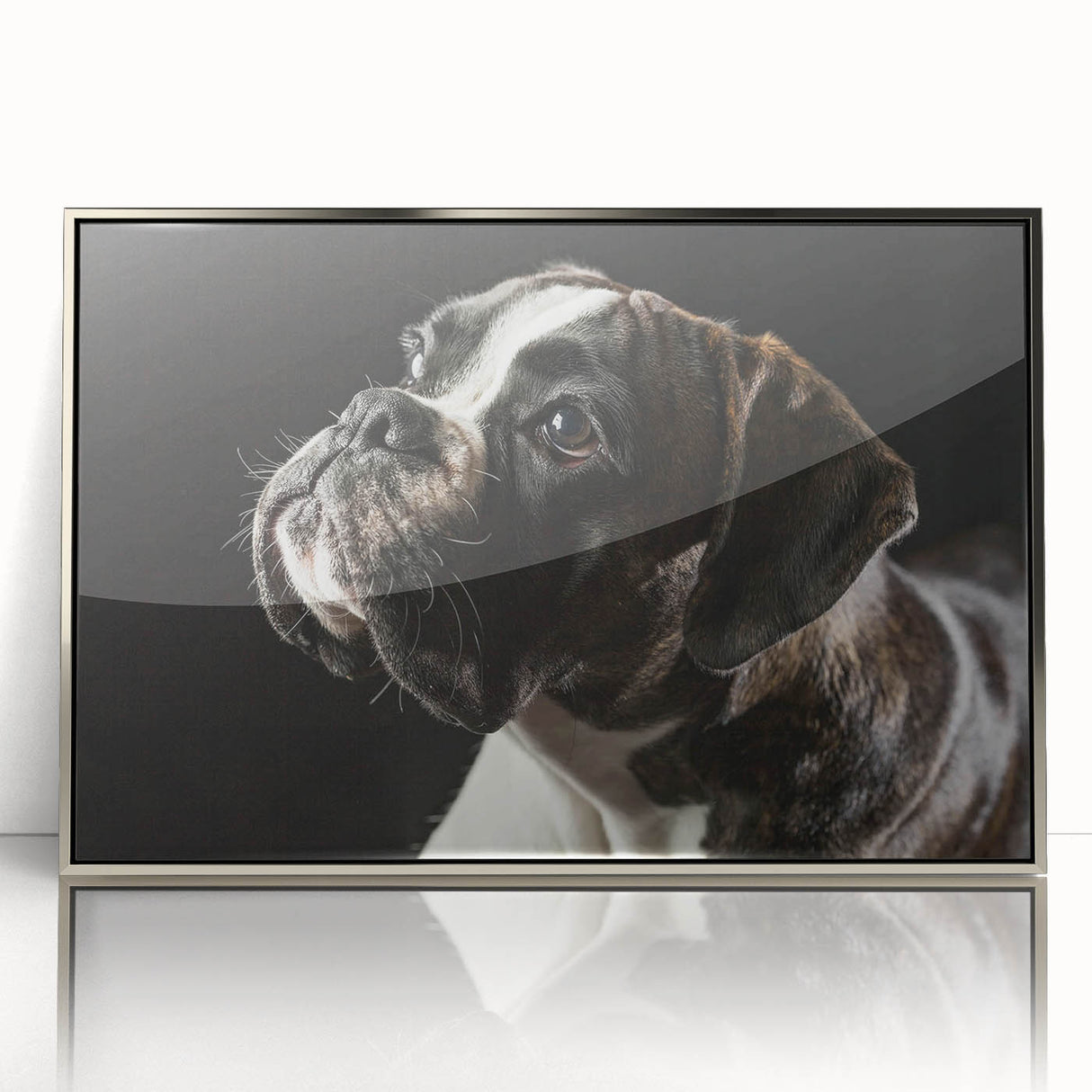 Framed wall art featuring a stylish silver-acrylic design of a boxer dog, ideal for pet lovers and modern home decor, showcasing detailed craftsmanship and vibrant colors.