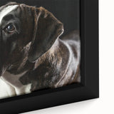 Close-up of a framed canvas wall art featuring a boxer dog design, showcasing vibrant colors and detailed textures, perfect for pet lovers and home decor.