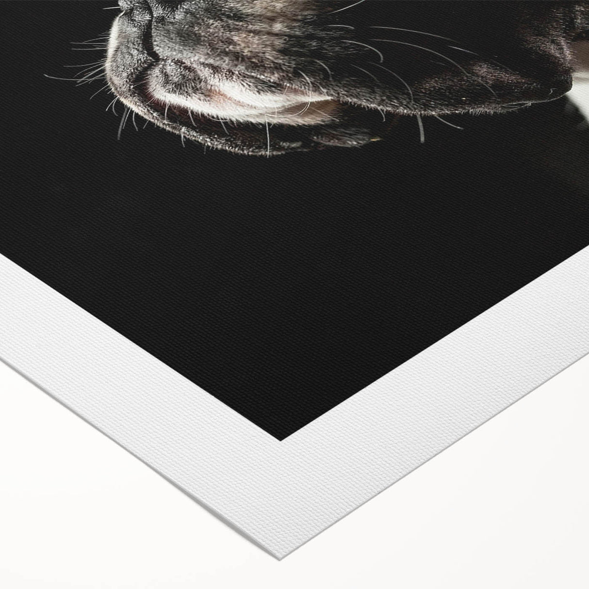 Boxer dog wall art design printed on rolled canvas, showcasing vibrant colors and detailed illustration, perfect for pet lovers and home decor enthusiasts.