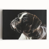 Boxer dog wall art collection featuring a vibrant stretched canvas design, showcasing a front view of a playful boxer in a colorful abstract style. Ideal for pet lovers and home decor enthusiasts.