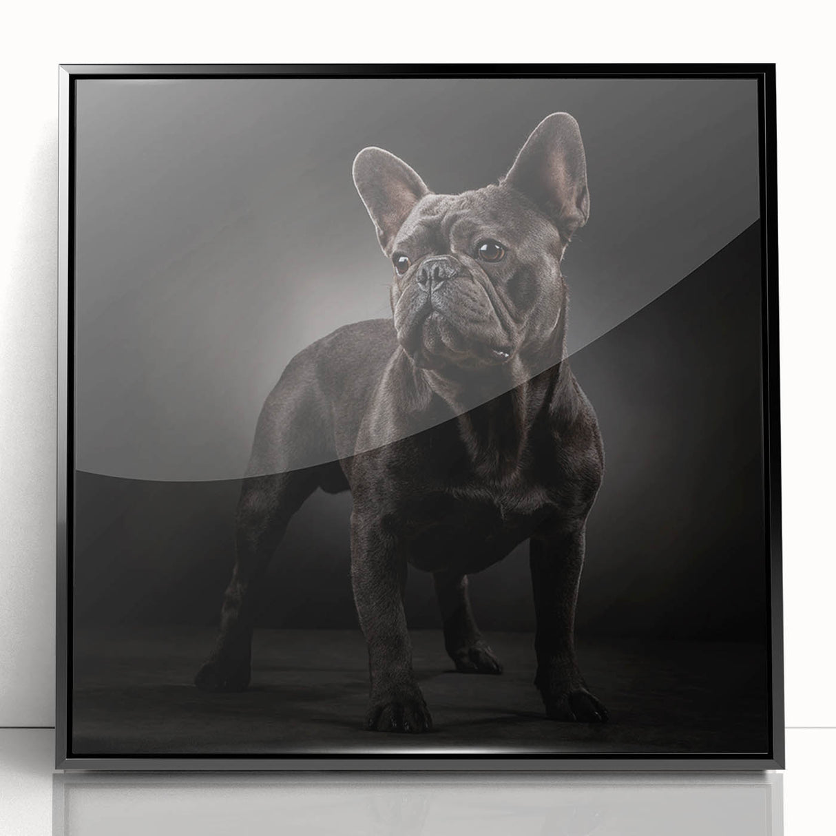 Framed wall art featuring a bulldog design with a black frame and acrylic cover, showcasing a playful canine in a vibrant, modern style, perfect for pet lovers' decor.
