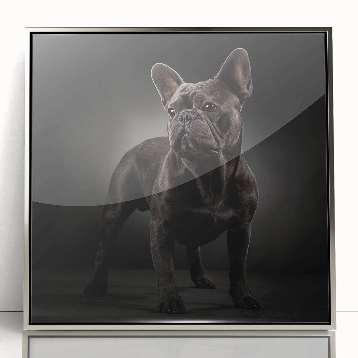 Framed wall art of a bulldog design, featuring vibrant colors and a sleek silver frame, displayed from the front view, perfect for pet lovers’ decor.