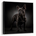 Framed canvas wall art featuring a stylish black bulldog design, showcasing a side profile with intricate details and bold colors, perfect for pet lovers' decor.