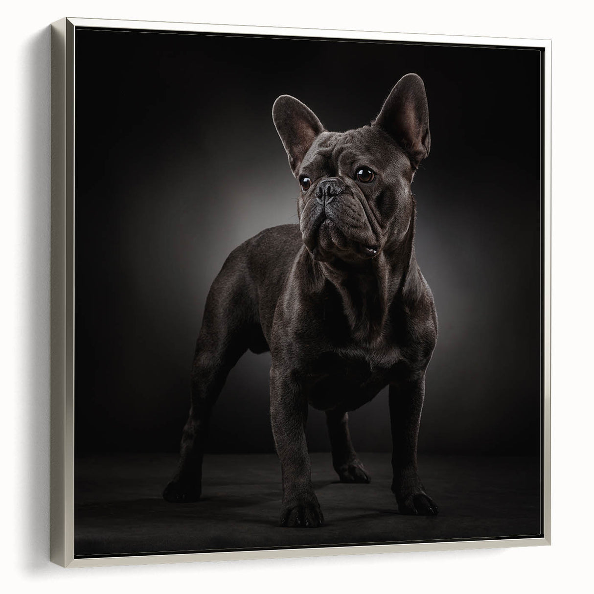 Framed wall art featuring a stylish bulldog design on canvas, displayed in a sleek silver frame, showcasing a side view with a modern aesthetic. Perfect for pet lovers.