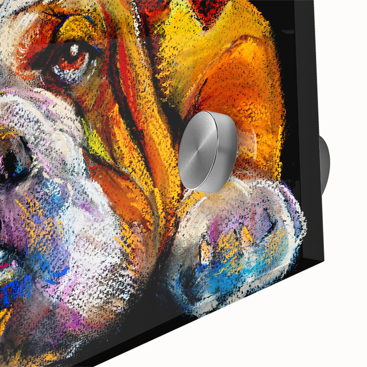 Close-up of a vibrant bulldog design wall art collection, displayed on acrylic glass, showcasing vivid colors and intricate details, perfect for pet lovers' decor.