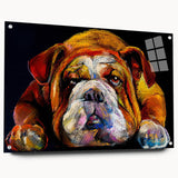 Acrylic glass wall art featuring a stylish bulldog design, showcasing vibrant colors and a side view, displayed with decorative pins for an artistic touch. Perfect for dog lovers and modern home decor enthusiasts.
