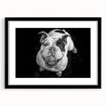 Framed wall art featuring a bulldog design in a stylish black frame with a mat. Perfect for dog lovers, this artwork adds a modern touch to any home decor.