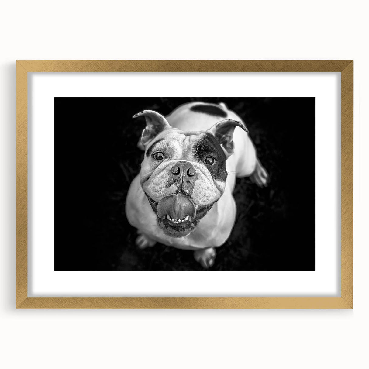 Framed wall art showcasing a stylish bulldog design, featuring a gold frame and mat, perfect for adding a touch of elegance to dog lovers' decor.