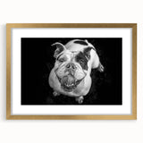 Framed wall art showcasing a stylish bulldog design, featuring a gold frame and mat, perfect for adding a touch of elegance to dog lovers' decor.
