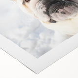 Rolled canvas art showcasing a charming bulldog design in vibrant colors, perfect for pet lovers, presented in a protective cardboard tube for easy display.