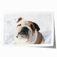 Bulldog-themed wall art print showcasing a whimsical design featuring a playful bulldog in vibrant colors, ideal for dog lovers' home decor. The print is rolled and ready for framing.