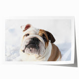 Bulldog-themed wall art print showcasing a whimsical design featuring a playful bulldog in vibrant colors, ideal for dog lovers' home decor. The print is rolled and ready for framing.
