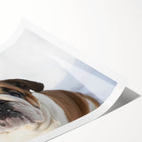 Bulldog-themed wall art print showcasing a stylish illustration of a bulldog with vibrant colors, rolled and ready for display in a home or office setting.