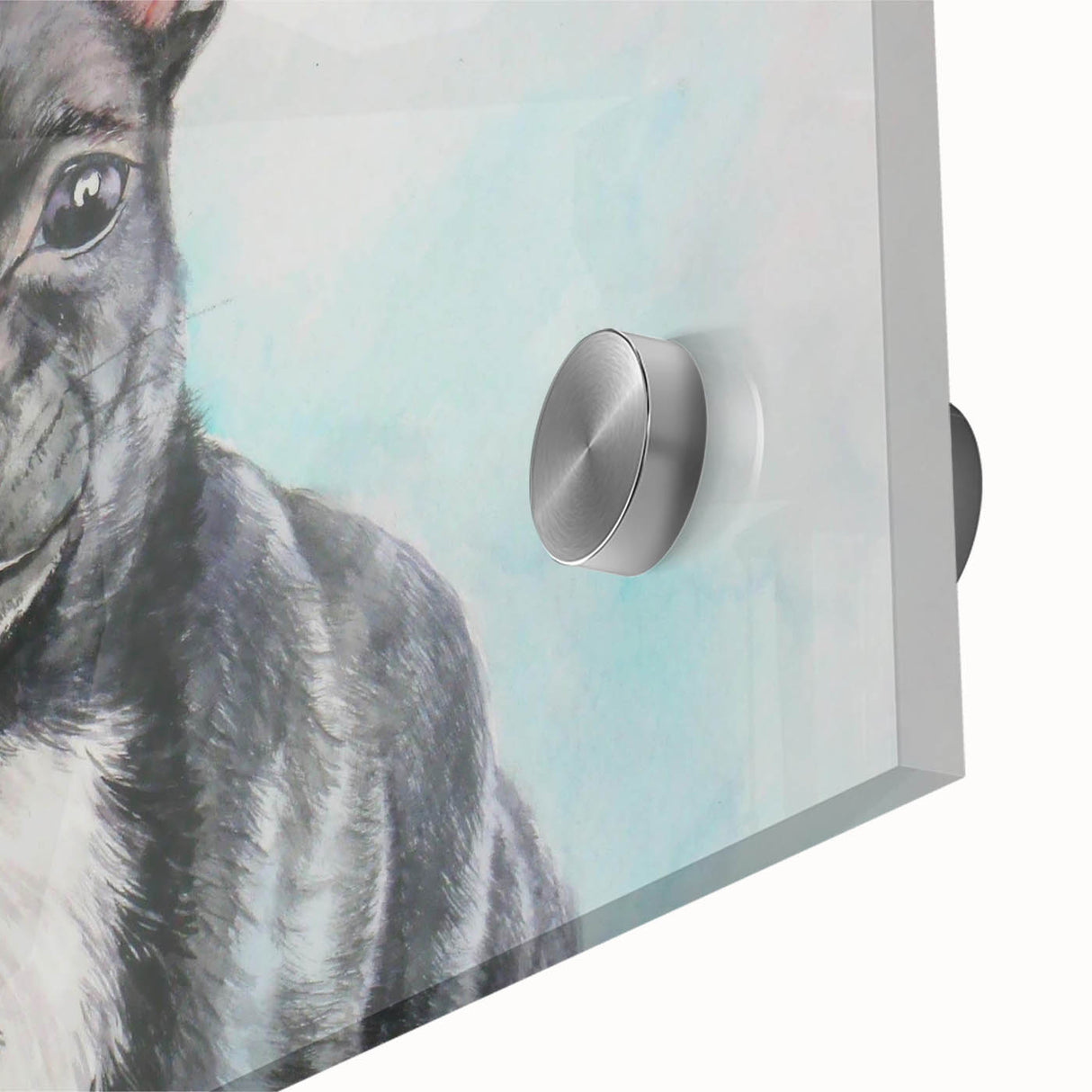 Close-up of a Chihuahua wall art design featuring vibrant colors and intricate details, printed on acrylic glass, perfect for pet lovers and home decoration.