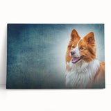 Stretched canvas wall art featuring a vibrant collie design, showcasing a playful collie dog in a colorful, artistic style, perfect for pet lovers' home decor.