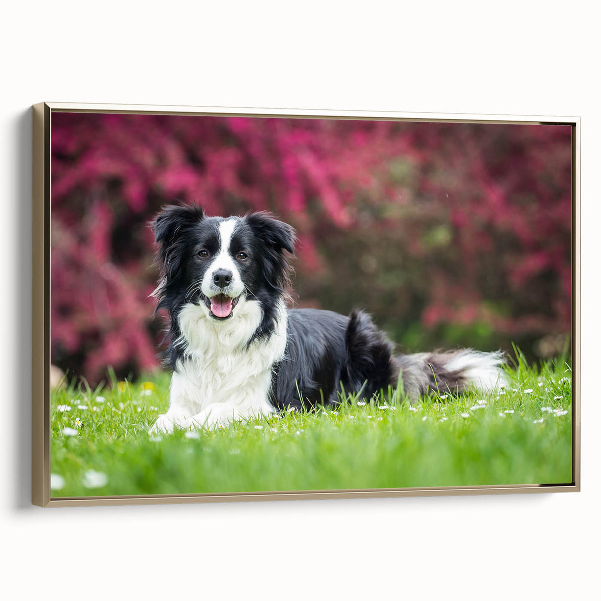 Framed canvas wall art depicting a side view of a golden collie dog design, showcasing intricate details and vibrant colors, perfect for dog lovers' home decor.