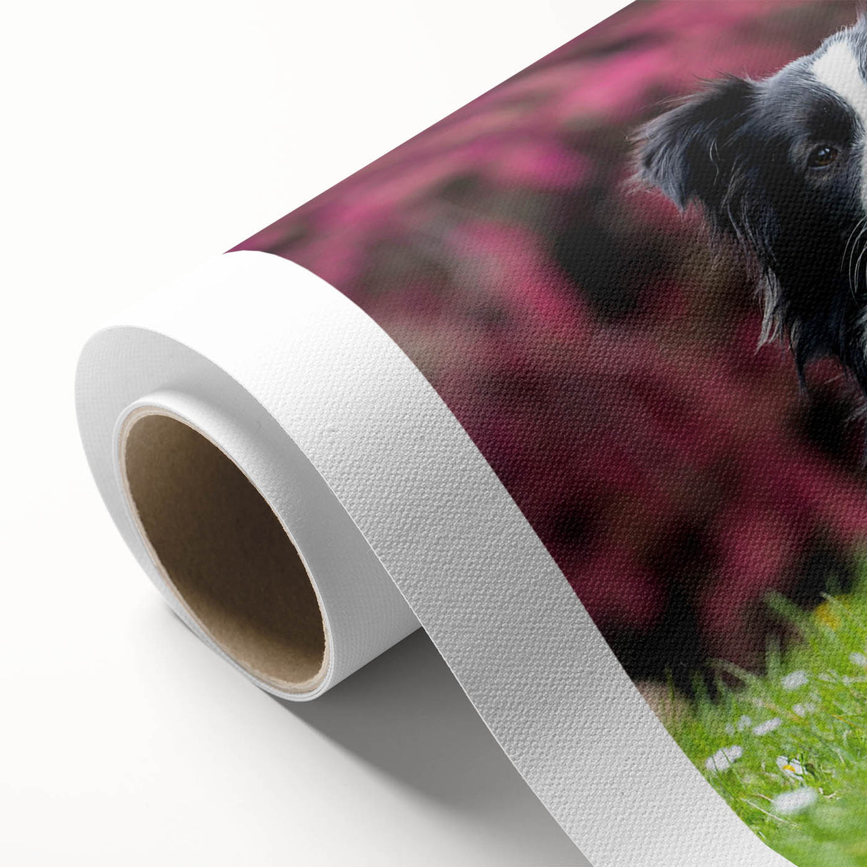 Vibrant rolled canvas wall art showcasing a stunning collie design, perfect for dog lovers, featuring intricate details and rich colors, ideal for home decor.