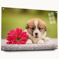 Acrylic glass wall art displaying a playful Corgi design, side view with pins, showcasing vibrant colors and intricate details, perfect for dog lovers' decor.