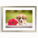 Corgi-themed wall art collection featuring a silver frame with matting, showcasing playful corgi illustrations that add charm to any room decor.